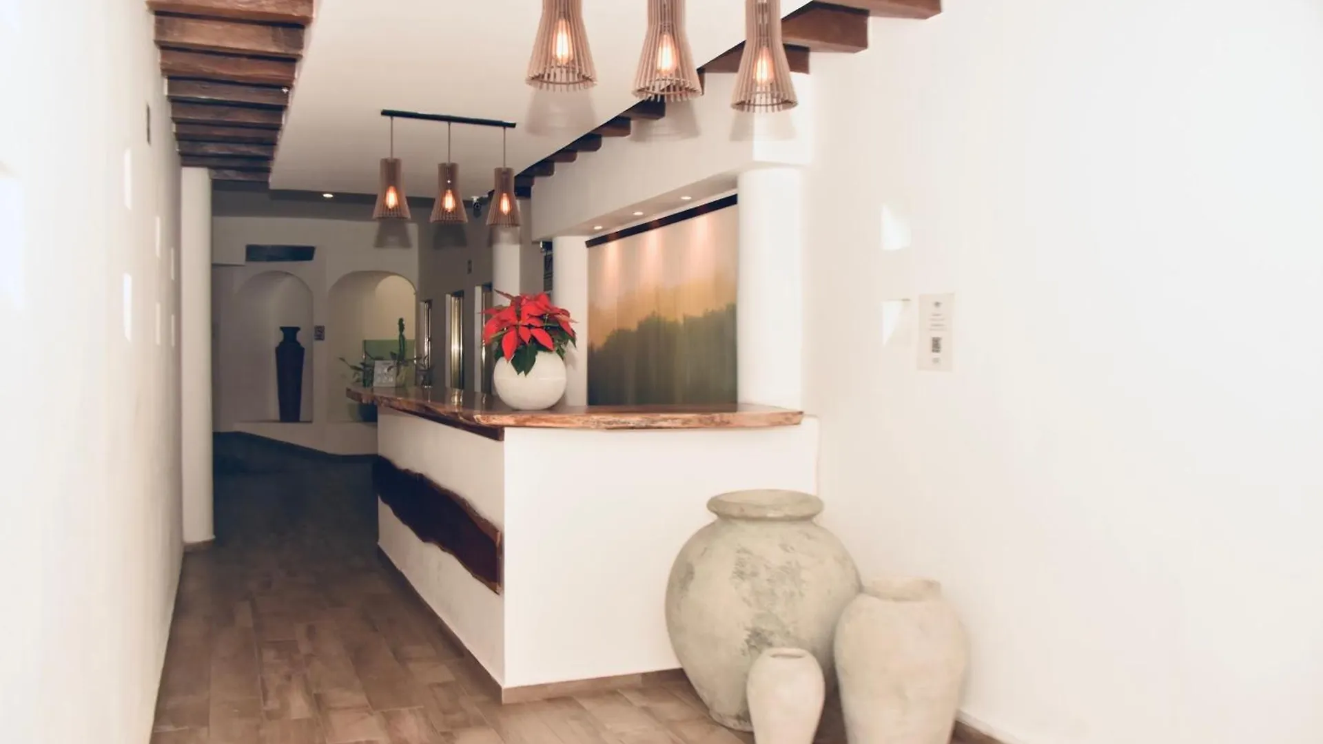 Caribbean Apartment 3 プレヤデルカーメン メキシコ
