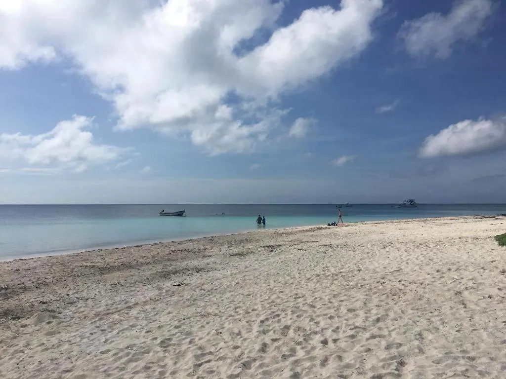 Caribbean Apartment 3 プレヤデルカーメン メキシコ